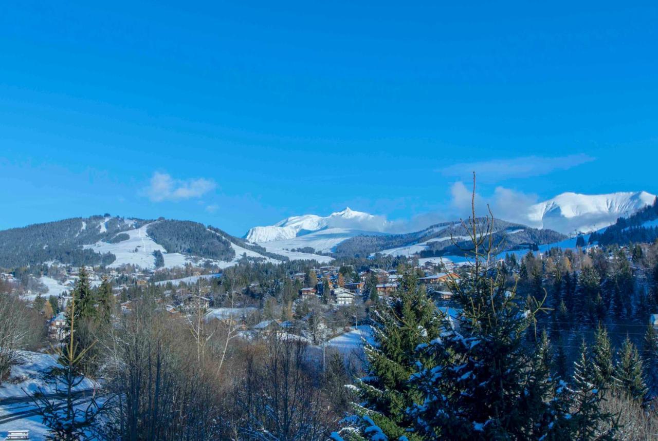 Close To The Village - Chalet 4 Bedrooms, Mont-Blanc View メジェーヴ エクステリア 写真
